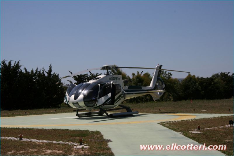 elifoto (215)